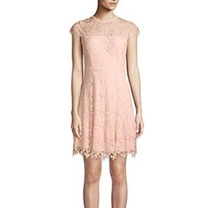 Julia Jordan Pink Lace Knee Length Open Back Shift Dress